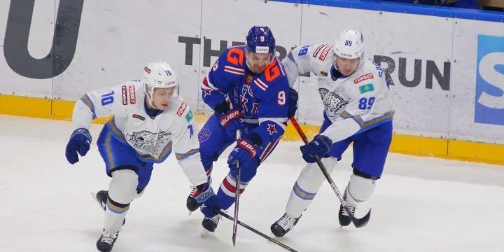 Шанхайские Драконы - Барыс Шанхайские Драконы - Барыс