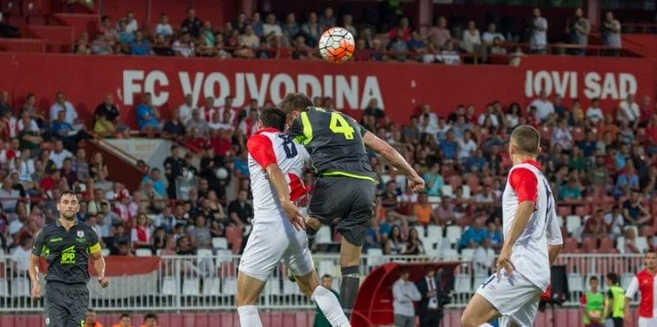 Войводина - Радник