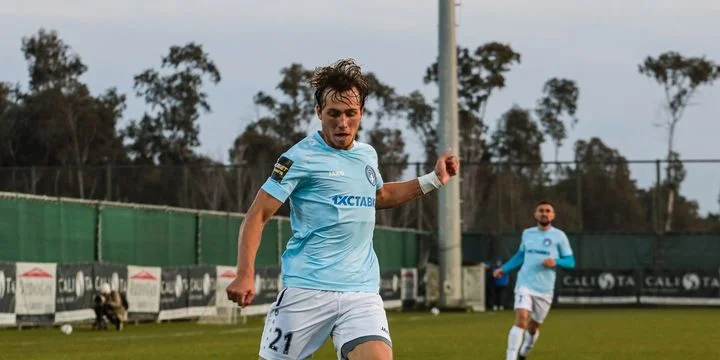 Родина - Шинник