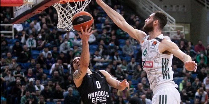 Анадолу Эфес - Маккаби Т-А