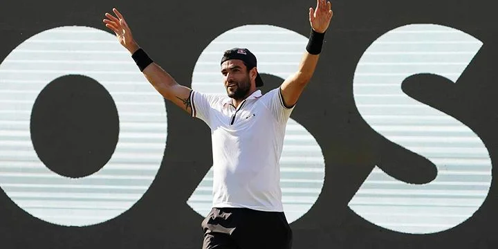 Маттео Берреттини - Таро Даниэль