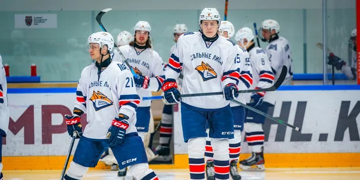 Стальные Лисы - Толпар