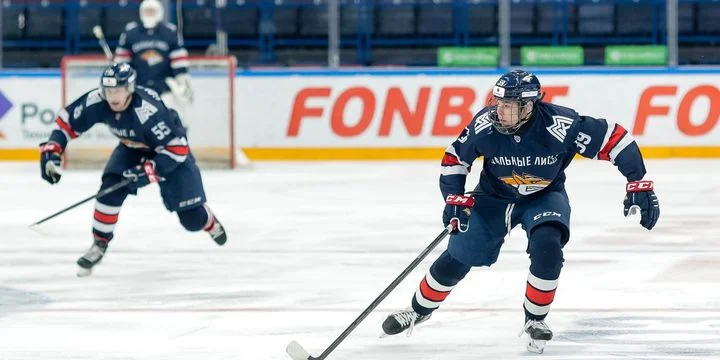 Стальные Лисы - Толпар