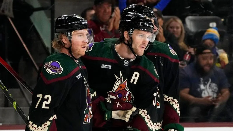 Аризона - Миннесота Аризона - Миннесота