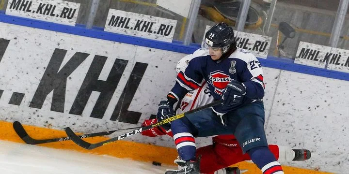 Чайка - Мамонты Югры Чайка - Мамонты Югры