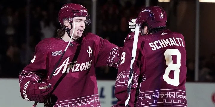 Аризона - Эдмонтон Аризона - Эдмонтон