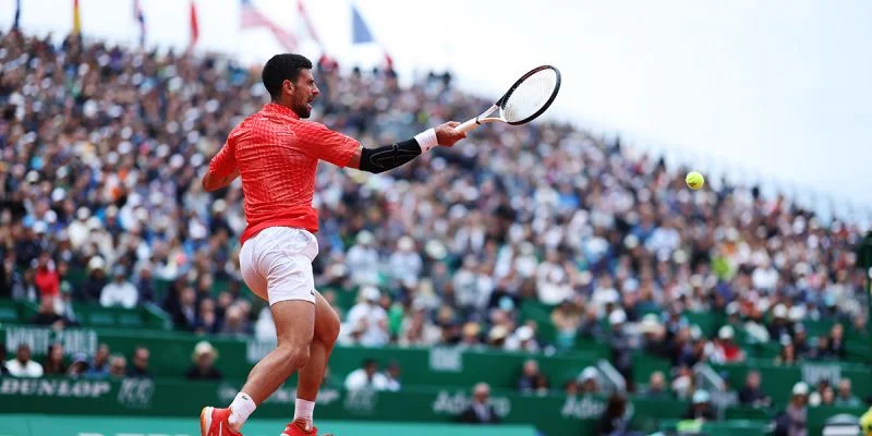 Новак Джокович - Душан Лайович