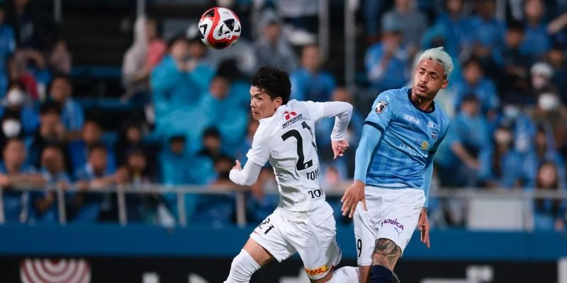 Йокогама - Грулла Мориока Йокогама - Грулла Мориока