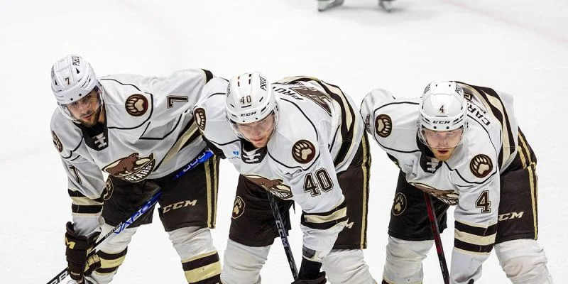 Коачелла Вэлли Файрбердс - Херши Беарс Коачелла Вэлли Файрбердс - Херши Беарс