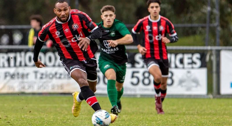 Алтона Мэджик - Мельбурн Найтс