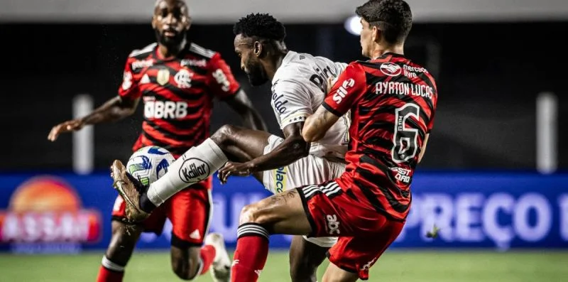 Сантос - Блуминг