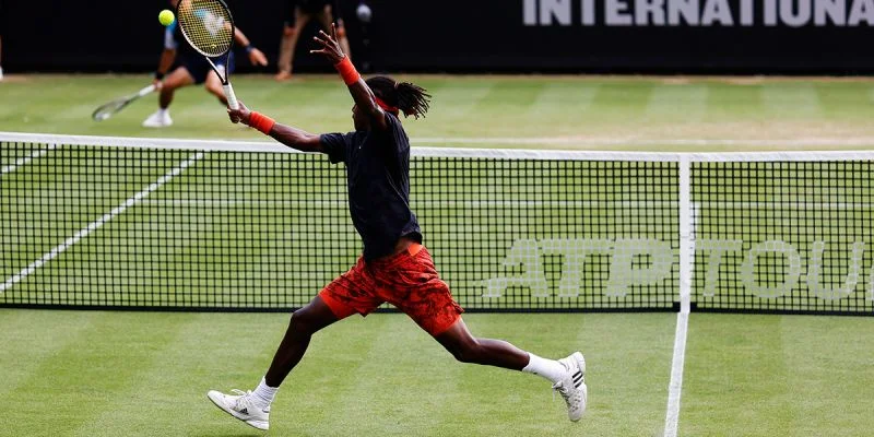 Микаэль Имер - Алекс Молчан