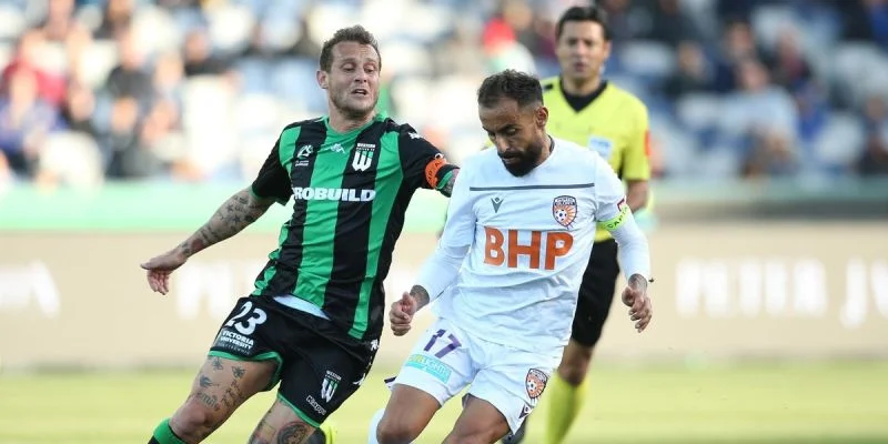 Норт Гилонг Варриорс - Мельбурн Найтс