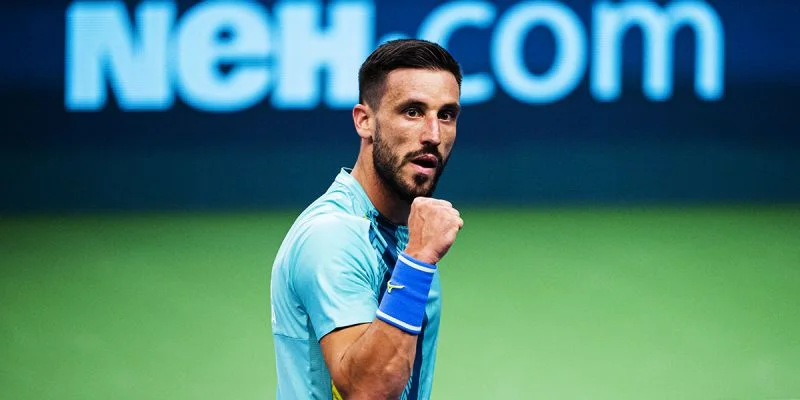 Филип Мисолич - Дамир Джумхур