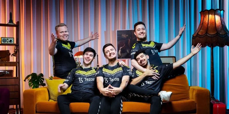 Team Vitality - Ninjas in Pyjamas Team Vitality - Ninjas in Pyjamas