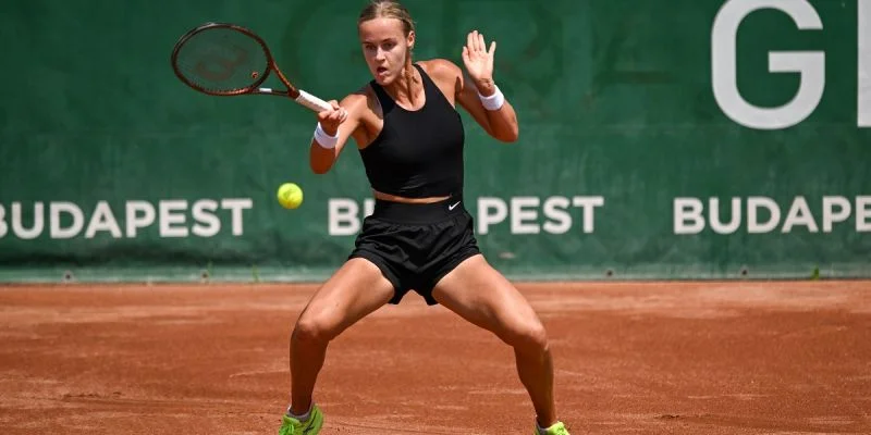 Анна Шмидлова - Панна Удварди Анна Шмидлова - Панна Удварди