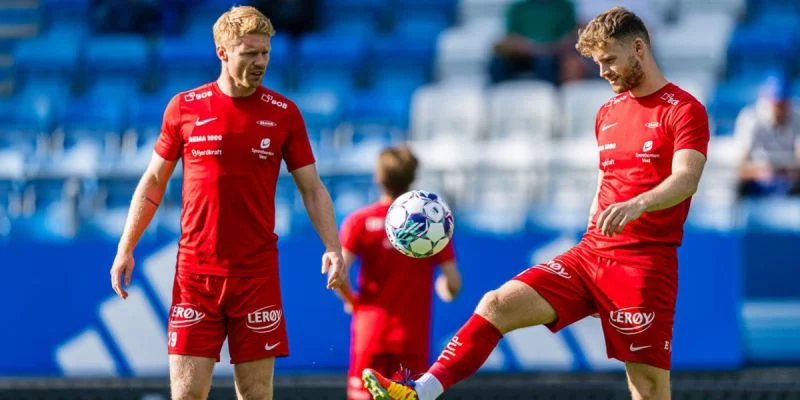 Бранн - Викинг