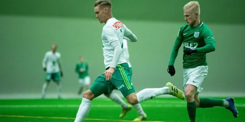 Фарул - Флора Фарул - Флора