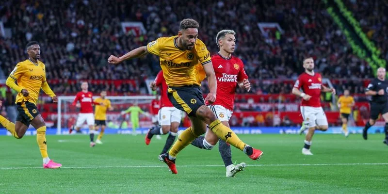 Вулверхэмптон - Брайтон