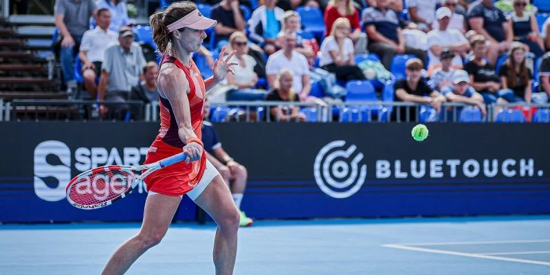 Ализе Корне - Элина Аванесян