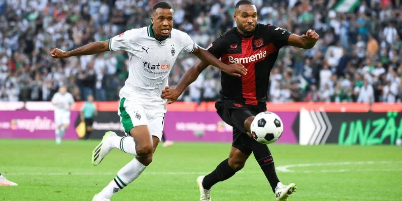 Байер - Дармштадт Байер - Дармштадт