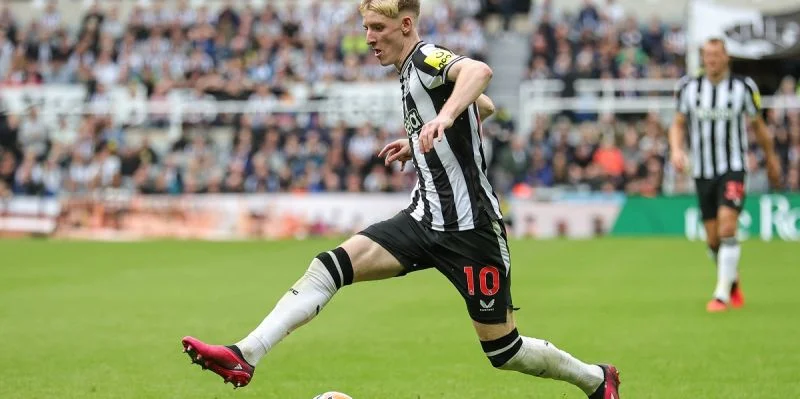 Брайтон - Ньюкасл Брайтон - Ньюкасл