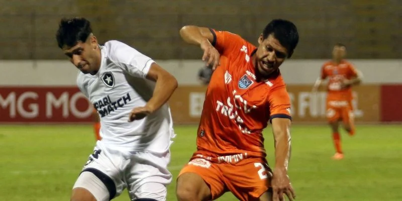 Унив. Сесар Валехо - Грау