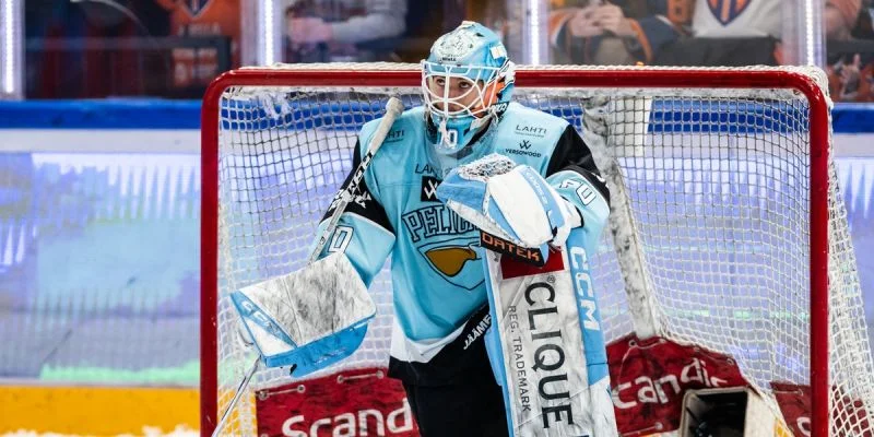 Пеликанс - Витковице