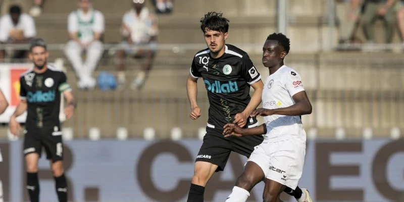 Виль - Лозанна Уши