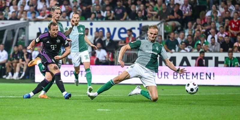 Хайденхайм - Вердер