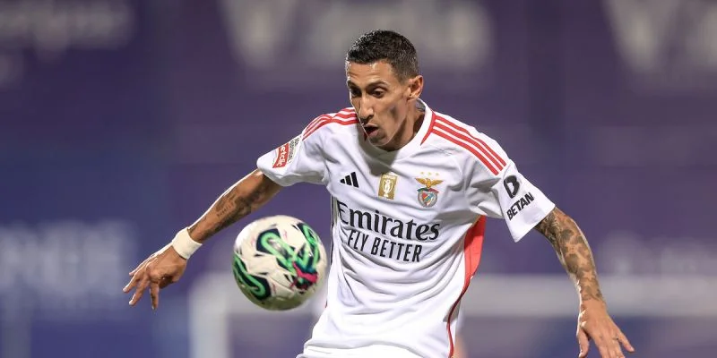 Бенфика - Зальцбург Бенфика - Зальцбург