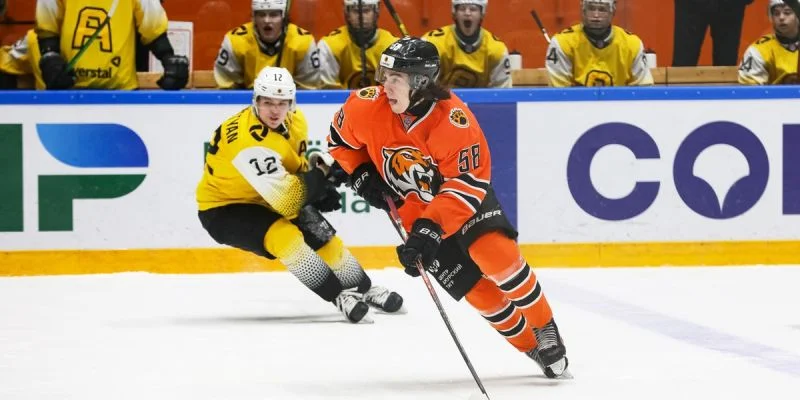 Амурские Тигры - Академия Михайлова