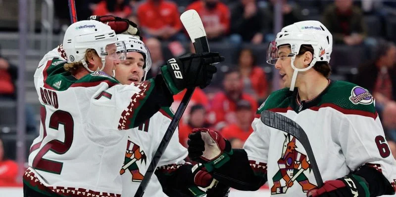 Аризона - Анахайм Аризона - Анахайм