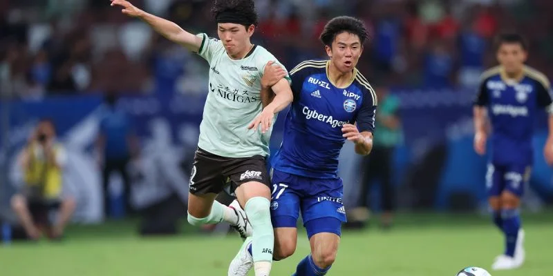 Блаублиц Акита - Матида Зельвия Блаублиц Акита - Матида Зельвия