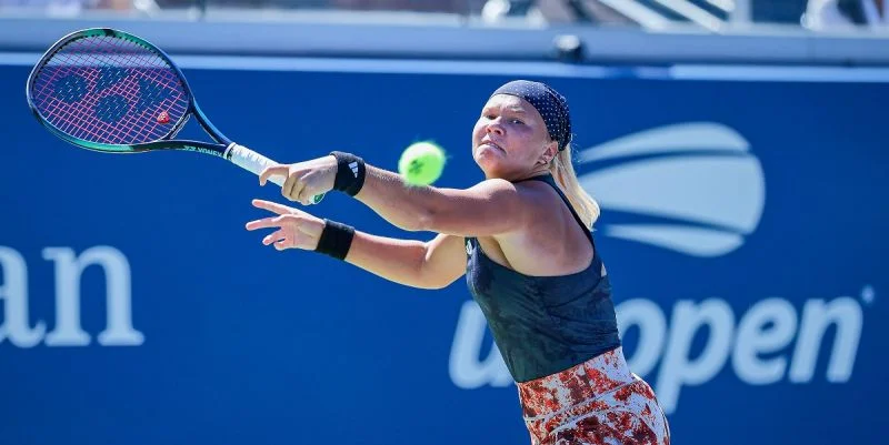 Диана Шнайдер - Лин Чжу