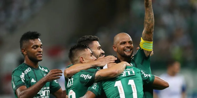 Палмейрас - Сан Паулу