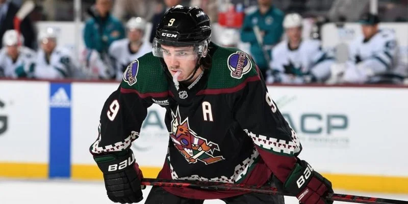 Анахайм - Аризона