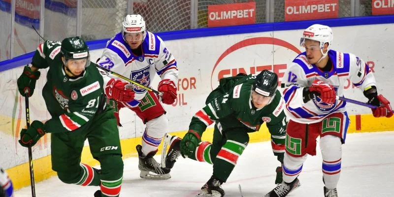 Барс - Химик