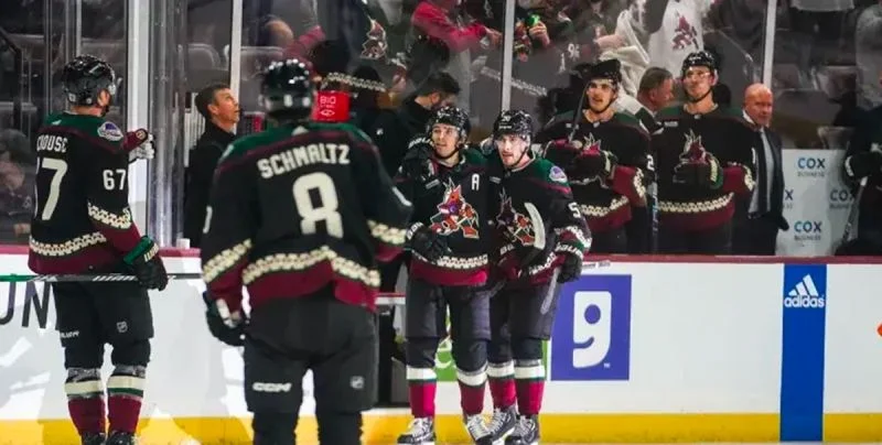 Аризона - Виннипег Джетс Аризона - Виннипег Джетс