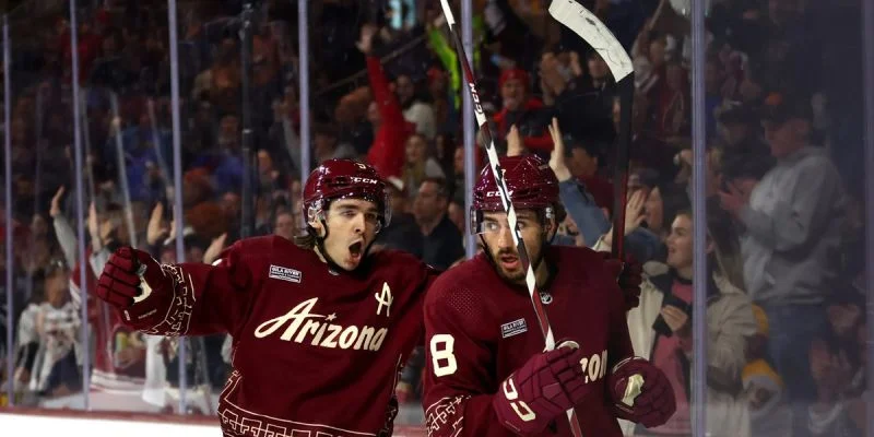 Аризона - Сиэтл Аризона - Сиэтл