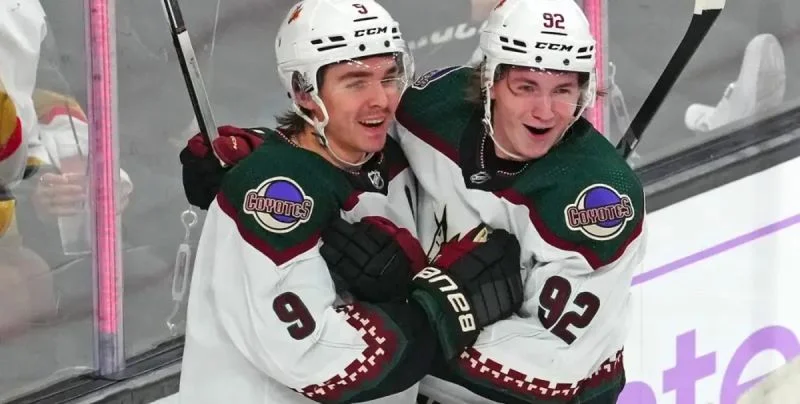 Аризона - Тампа Аризона - Тампа