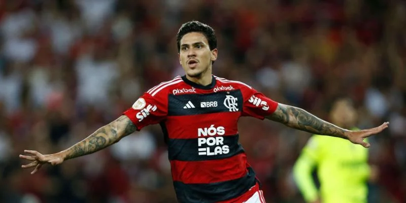 Фламенго - Kуяба