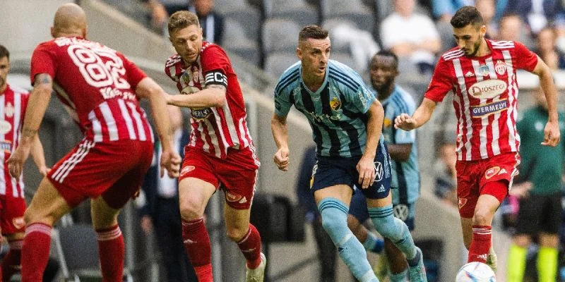 Оцелул - Сепси