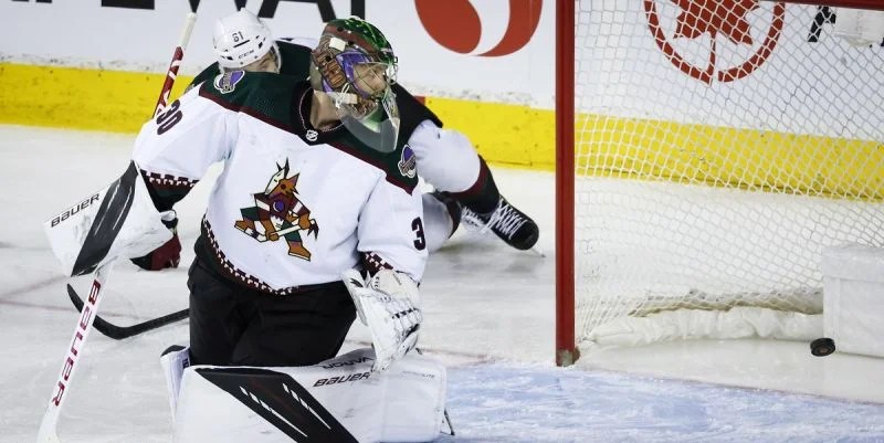 Сан-Хосе - Аризона Сан-Хосе - Аризона