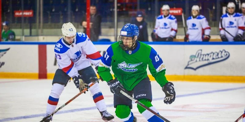 Толпар - Чайка Толпар - Чайка