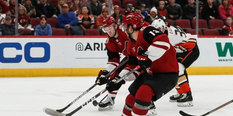 Анахайм - Аризона Анахайм - Аризона