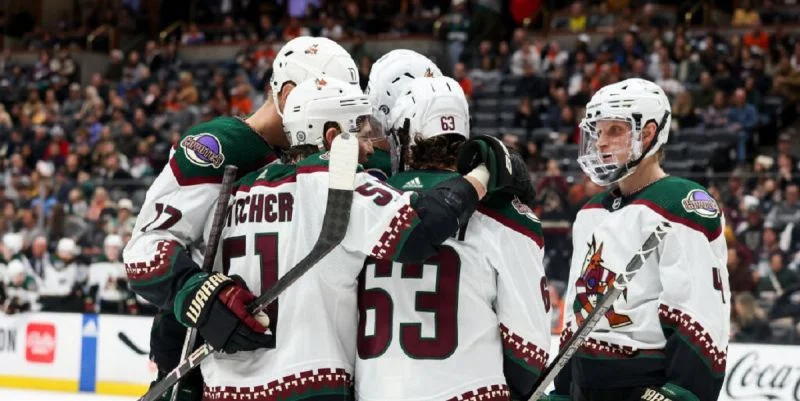 Аризона - Флорида Аризона - Флорида