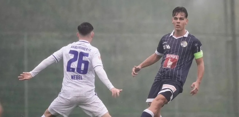 Люцерн - Стандард