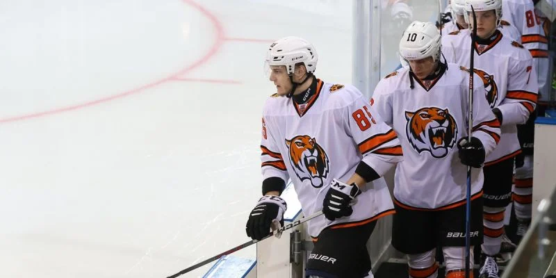 Крылья Советов - Амурские Тигры