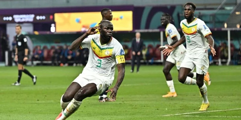 Сенегал - Камерун